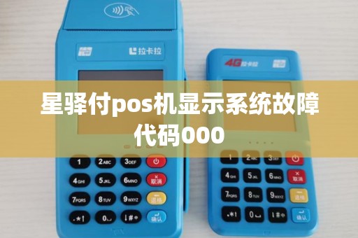 星驿付pos机显示系统故障代码000