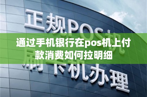 通过手机银行在pos机上付款消费如何拉明细