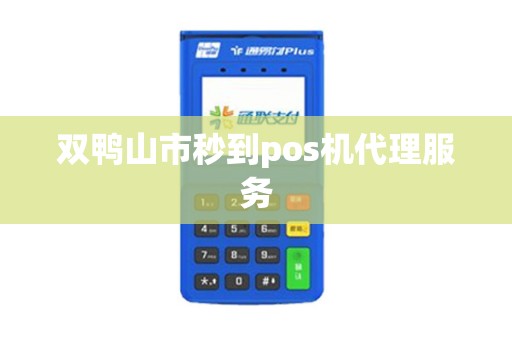 双鸭山市秒到pos机代理服务