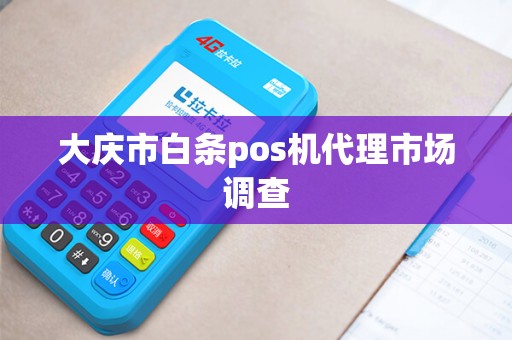 大庆市白条pos机代理市场调查