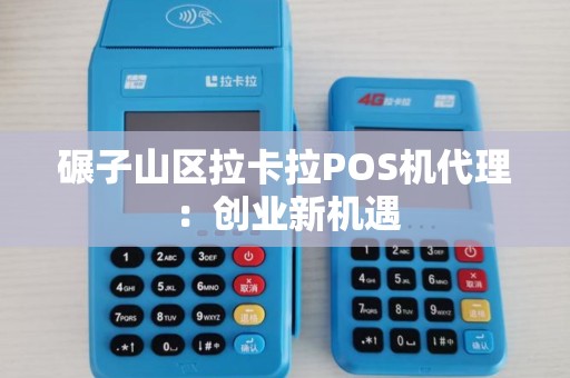 碾子山区拉卡拉POS机代理：创业新机遇