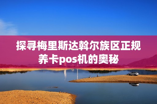 探寻梅里斯达斡尔族区正规养卡pos机的奥秘