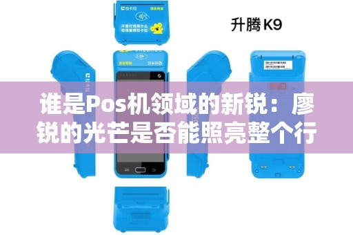 谁是Pos机领域的新锐：廖锐的光芒是否能照亮整个行业？