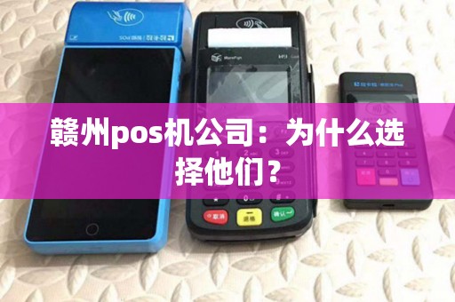 赣州pos机公司：为什么选择他们？