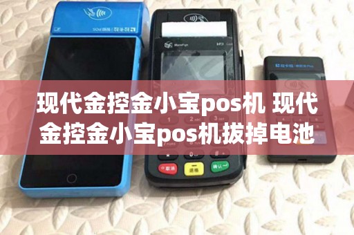 现代金控金小宝pos机 现代金控金小宝pos机拔掉电池显示故障类别11