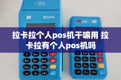 拉卡拉个人pos机干嘛用 拉卡拉有个人pos机吗