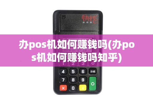 办pos机如何赚钱吗(办pos机如何赚钱吗知乎)
