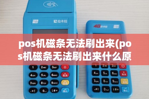 pos机磁条无法刷出来(pos机磁条无法刷出来什么原因)