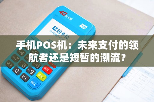 手机POS机：未来支付的领航者还是短暂的潮流？
