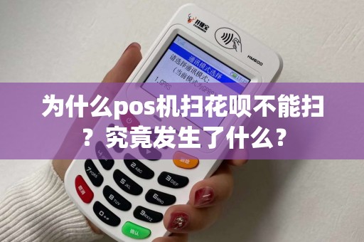 为什么pos机扫花呗不能扫？究竟发生了什么？