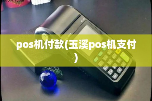 pos机付款(玉溪pos机支付)
