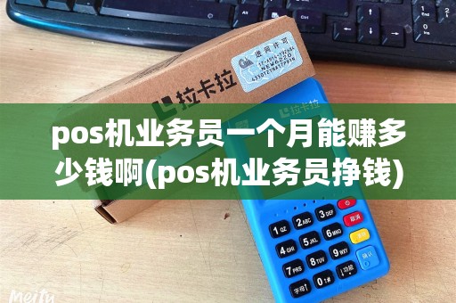 pos机业务员一个月能赚多少钱啊(pos机业务员挣钱)