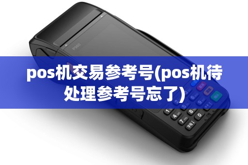 pos机交易参考号(pos机待处理参考号忘了)
