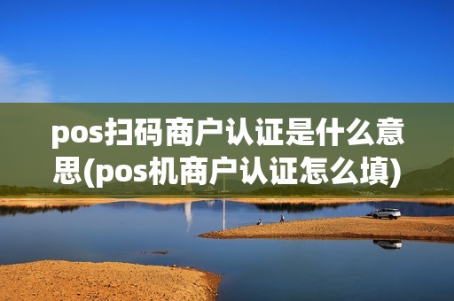 pos扫码商户认证是什么意思(pos机商户认证怎么填)