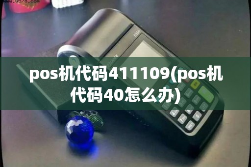 pos机代码411109(pos机代码40怎么办)