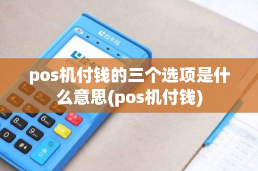 pos机付钱的三个选项是什么意思(pos机付钱)