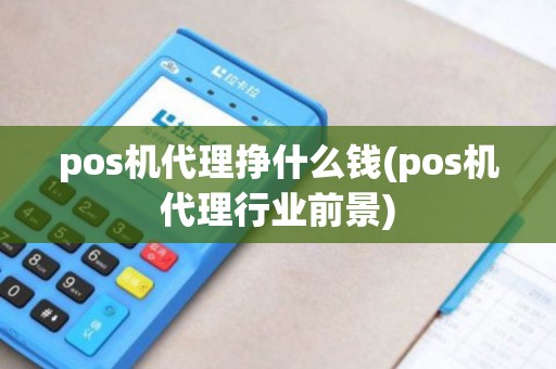 pos机代理挣什么钱(pos机代理行业前景)