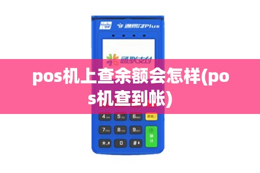pos机上查余额会怎样(pos机查到帐)