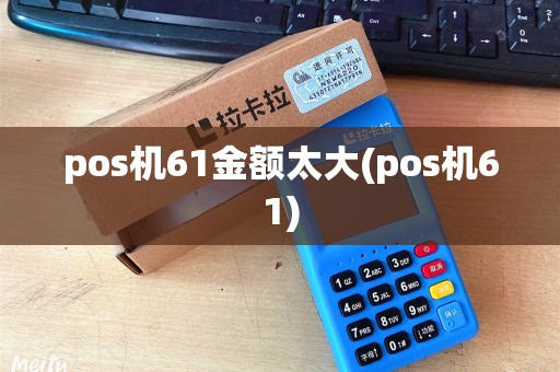 pos机61金额太大(pos机61)