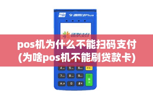pos机为什么不能扫码支付(为啥pos机不能刷贷款卡)