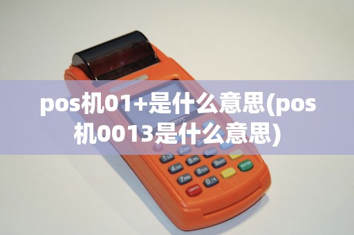 pos机01+是什么意思(pos机0013是什么意思)