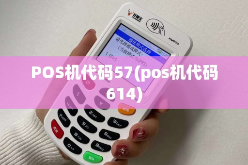 POS机代码57(pos机代码614)
