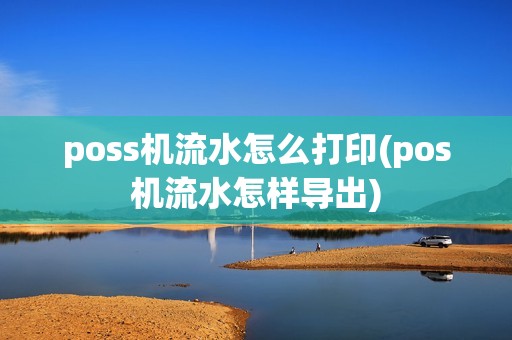 poss机流水怎么打印(pos机流水怎样导出)