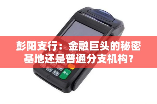 彭阳支行：金融巨头的秘密基地还是普通分支机构？