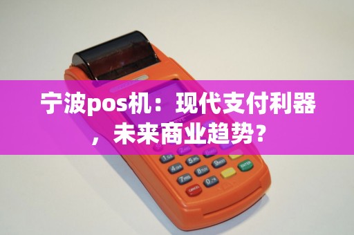 宁波pos机：现代支付利器，未来商业趋势？