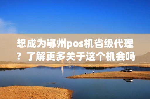 想成为鄂州pos机省级代理？了解更多关于这个机会吗？