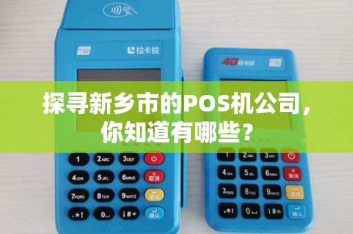 探寻新乡市的POS机公司，你知道有哪些？