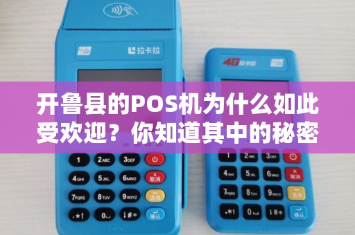 开鲁县的POS机为什么如此受欢迎？你知道其中的秘密吗？