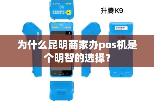 为什么昆明商家办pos机是个明智的选择？