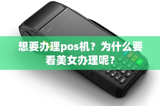 想要办理pos机？为什么要看美女办理呢？