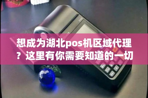 想成为湖北pos机区域代理？这里有你需要知道的一切！