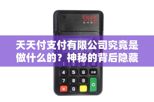 天天付支付有限公司究竟是做什么的？神秘的背后隐藏着怎样的商业奇迹？