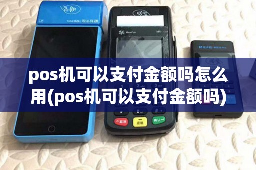 pos机可以支付金额吗怎么用(pos机可以支付金额吗)