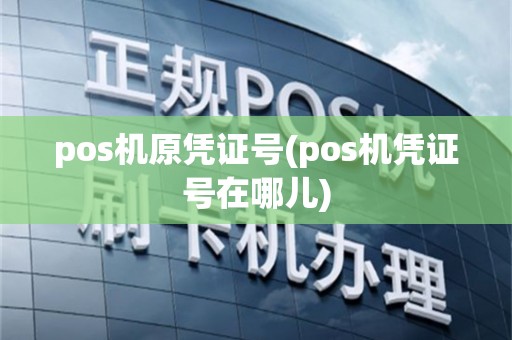 pos机原凭证号(pos机凭证号在哪儿)