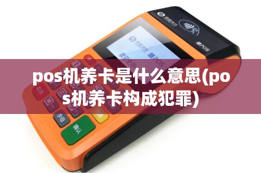 pos机养卡是什么意思(pos机养卡构成犯罪)