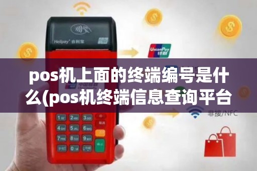 pos机上面的终端编号是什么(pos机终端信息查询平台)