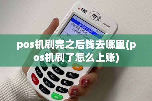 pos机刷完之后钱去哪里(pos机刷了怎么上账)