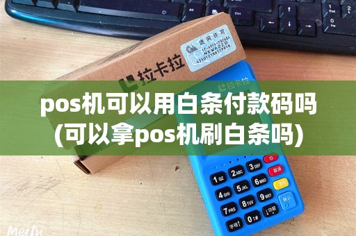 pos机可以用白条付款码吗(可以拿pos机刷白条吗)