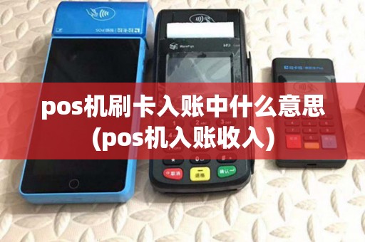 pos机刷卡入账中什么意思(pos机入账收入)