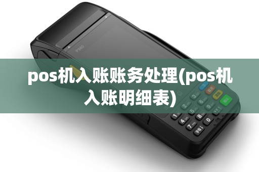pos机入账账务处理(pos机入账明细表)