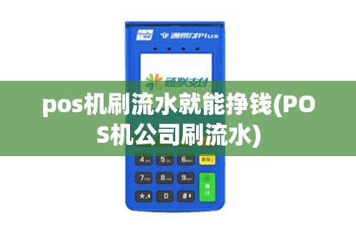 pos机刷流水就能挣钱(POS机公司刷流水)