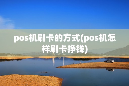 pos机刷卡的方式(pos机怎样刷卡挣钱)