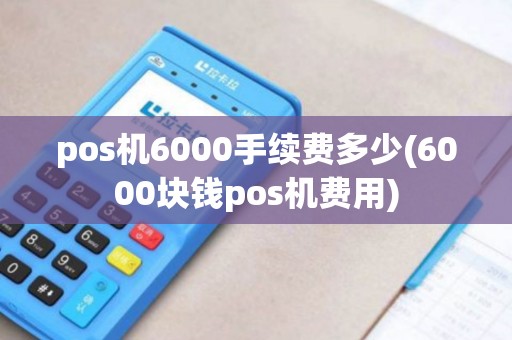 pos机6000手续费多少(6000块钱pos机费用)