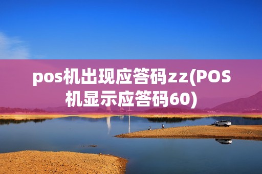 pos机出现应答码zz(POS机显示应答码60)