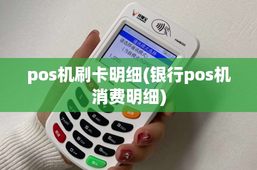 pos机刷卡明细(银行pos机消费明细)
