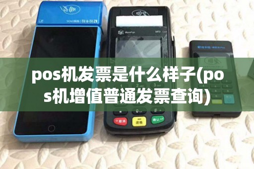 pos机发票是什么样子(pos机增值普通发票查询)